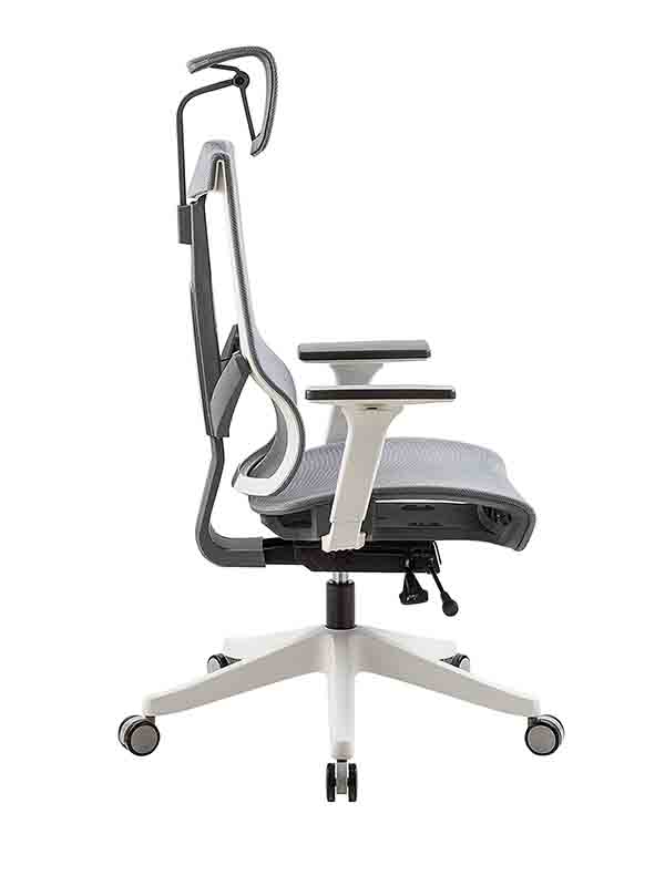Aero Mesh Ergonomic Chair, Premium Office & Computer Chair with Multi